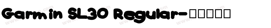 Garmin SL30 Regular字体转换